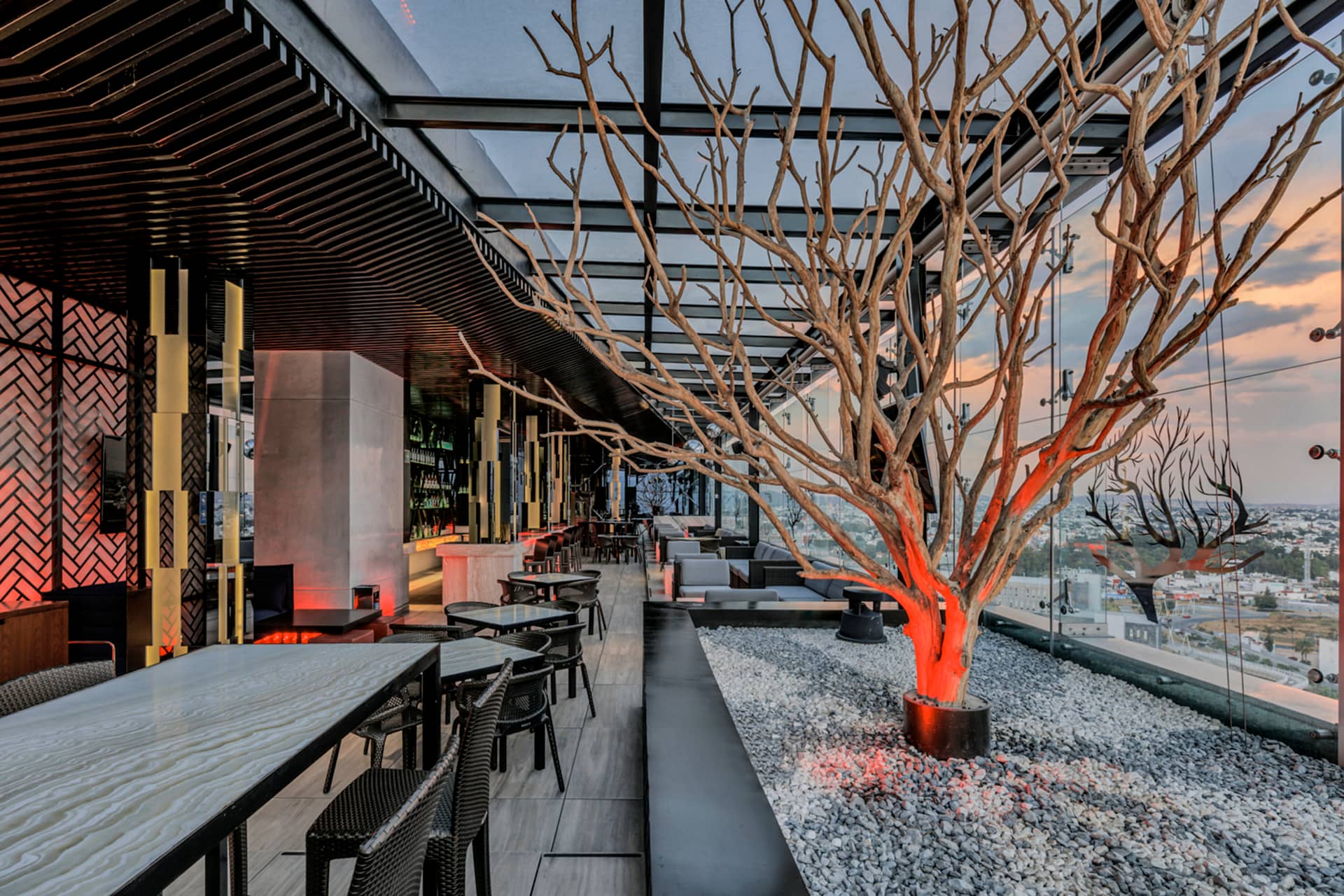 Modern rooftop bar with a glass ceiling, sleek furniture, and a large decorative tree illuminated by orange light—an ideal spot for conference events or meetings, overlooking the cityscape during sunset.