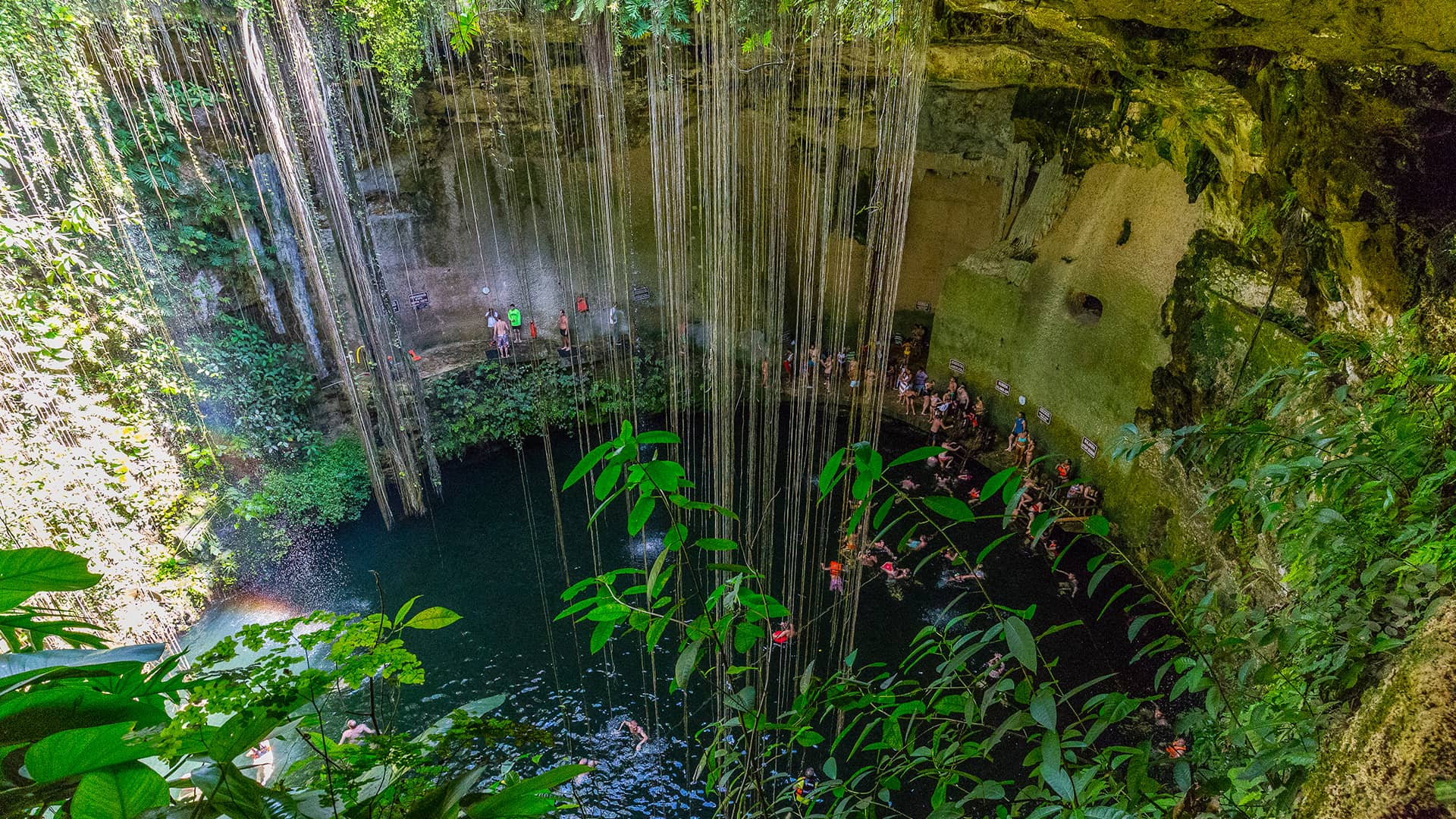 Lush green vines hang over the edge of a large, open cenote with clear water below. People gather and swim in the pool, surrounded by rocky cave walls and dense vegetation—an unforgettable escape at top Mexico resorts.