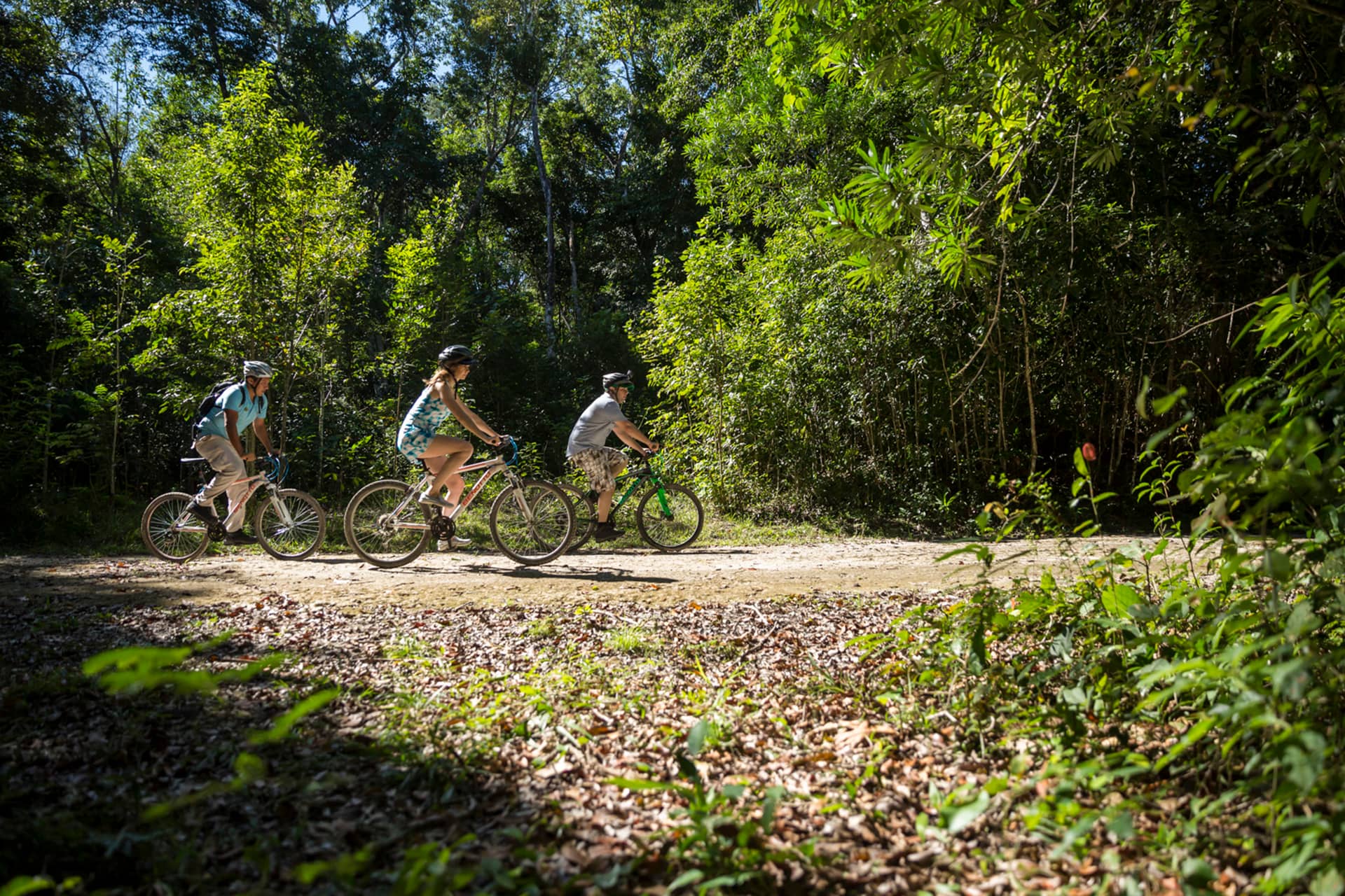 Three people ride bicycles along a dirt path through a lush, green forest on a sunny day near one of Mexico's scenic resorts. Sunlight filters through the trees, and fallen leaves cover parts of the ground.