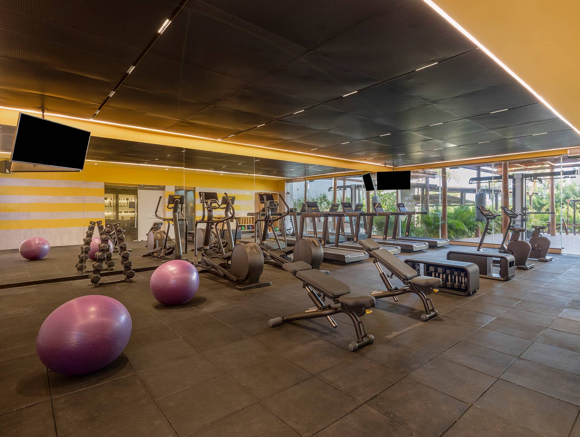 A modern gym at one of Mexico's premier resorts, featuring treadmills, elliptical machines, benches, free weights, and two purple exercise balls on a rubber floor—perfect for guests attending conferences or meetings. Large windows offer views of greenery.