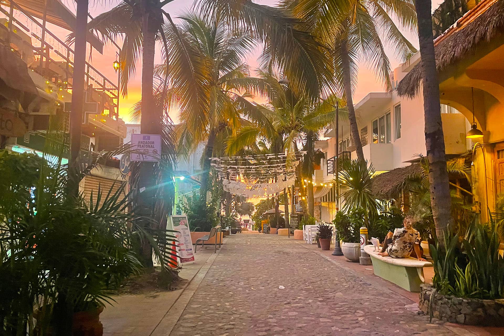 A cobblestone street lined with palm trees and tropical plants at sunset, with string lights hanging above and Mexico resorts, shops, or cafes on either side, creating a warm, inviting atmosphere perfect for conference events.