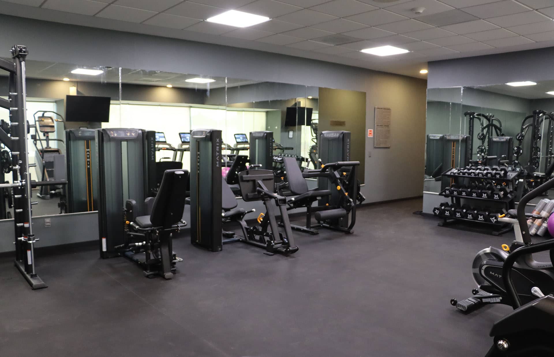 A modern gym in one of Mexico’s premier resorts, featuring strength training machines, free weights, benches, and a mirrored wall. Dark flooring and ceiling lights create a clean, organized workout space ideal for guests at meetings or conference events.