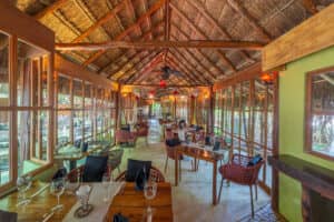 Un restaurante acogedor con techo de paja, vigas de madera, paredes de cristal y luz natural, perfecto para conferencias o reuniones. Sillas de mimbre rodean mesas de madera con servilletas y copas de vino, mientras que una exuberante vegetación se divisa a través de las ventanas.