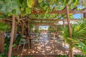 Un patio de restaurante al aire libre con tarima de madera y pérgola, rodeado de exuberantes plantas y árboles verdes, perfecto para eventos o reuniones informales en hoteles y complejos turísticos de México, con la luz del sol filtrándose entre las hojas e iluminando mesas y sillas cuidadosamente dispuestas.