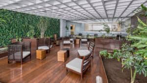 Moderna sala de estar interior con suelos de madera, sillas acolchadas, mesas pequeñas y exuberantes plantas verdes a lo largo de la pared, ideal para reuniones o eventos de conferencias en los mejores hoteles y complejos turísticos de México, bajo un techo de rejilla blanca con luz natural.