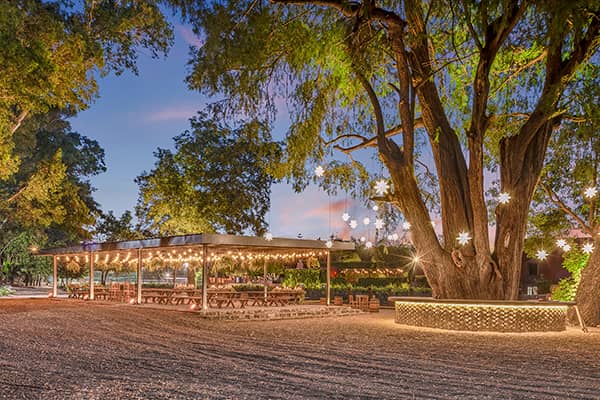 An outdoor event space at dusk features picnic tables under a pavilion decorated with string lights. Perfect for conference events or meetings, this inviting area near Mexico hotels and resorts is adorned with glowing ornaments for a festive ambiance.