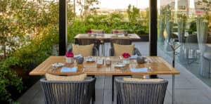En los hoteles de México, un patio de restaurante al aire libre con mesas de madera, sillas acolchadas, platos y cubiertos cuidadosamente dispuestos y pequeños jarrones con flores rosas: un lugar ideal para reuniones o eventos de conferencias, rodeado de exuberante vegetación y plantas.