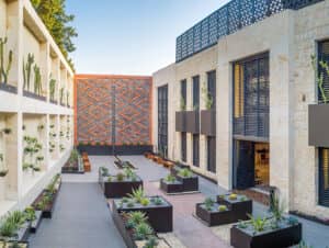 Patio moderno con jardineras geométricas, cactus y plantas del desierto. Edificios de piedra clara con grandes ventanales y contraventanas negras rodean el espacio, ideal para reuniones o conferencias en los mejores resorts de México. Bancos bordean la vibrante pared estampada.
