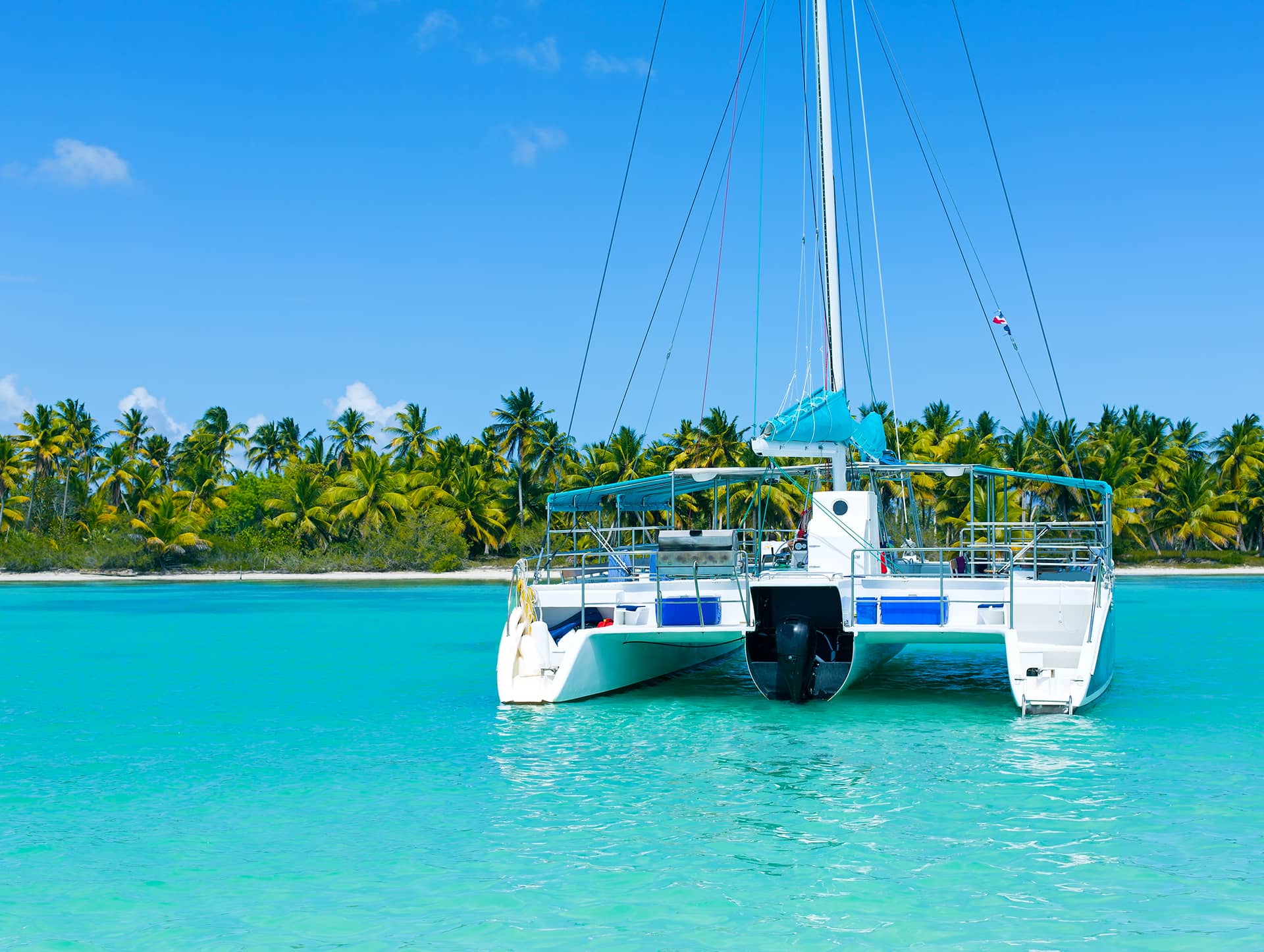 Catamaran sailing in Caribbean sea with palm beach background, nobody